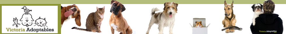 VictoriaAdoptables.com -  We are all about the Animals!