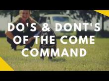 Embedded thumbnail for Come Commands Do&amp;#039;s and Don&amp;#039;t&amp;#039;s