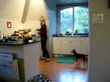 Embedded thumbnail for The Puppy Project Lesson 11: Cricket &amp;amp; The Popcorn Popper - Desensitizing Fear (Part 1/3) 