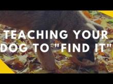 Embedded thumbnail for Teaching Your Dog to &amp;quot;Find It&amp;quot;