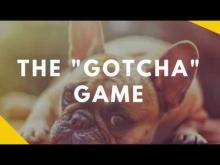 Embedded thumbnail for The Gotcha Game - Teaching Your Dog To Love Being Caught